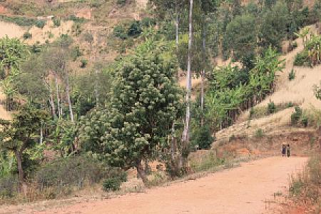 Makamba – Burundi fotoğrafı
