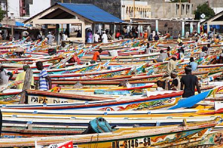 Matam – Senegal fotoğrafı