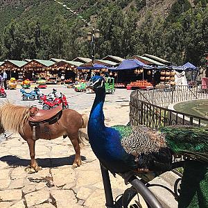 Médéa – Cezayir fotoğrafı