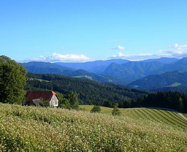 Mežica – Slovenya fotoğrafı