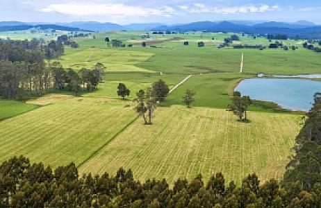 Mityana – Uganda fotoğrafı