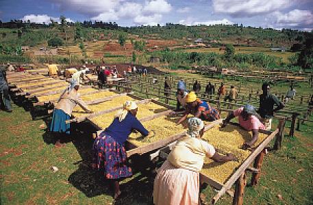Nyeri – Kenya fotoğrafı