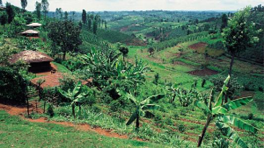 Nyeri – Kenya fotoğrafı