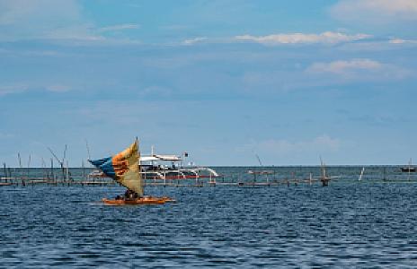 Puerto Princesa – Filipinler fotoğrafı