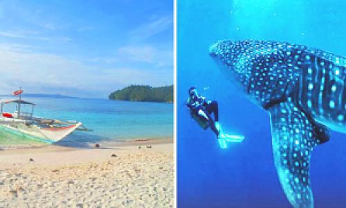 Sorsogon – Filipinler fotoğrafı