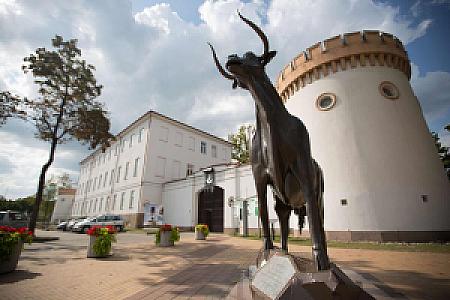 Tauragė – Litvanya fotoğrafı