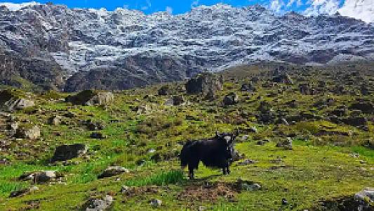 Orman Girisi, Gosaikunda fotoğrafı