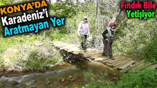 Son Köy, Ducheshwar fotoğrafı