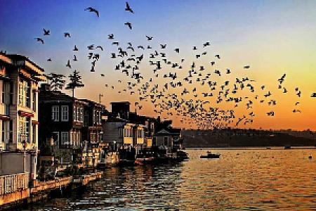 Beykoz, İstanbul fotoğrafı