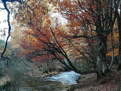 PRECISO HAYEDO DE CAMINO, Jaca fotoğrafı
