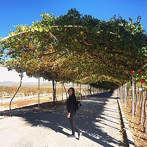 Fuente de la Parra, Muğla fotoğrafı