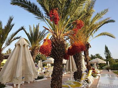 Puerta Palmas, Antalya fotoğrafı