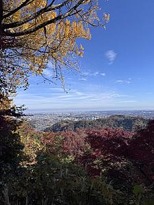 Kızılçam Ormanı Döngü Yürüyüşü: Doğal Güzellikler ve Riskli Alanlarla Yolculuk