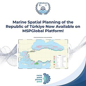 Megs Reach, Macdonnell Region fotoğrafı