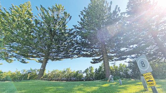 Portals Camp, Macdonnell Region fotoğrafı