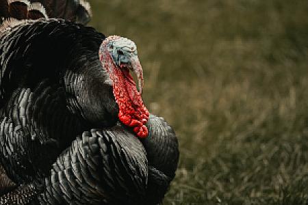 Keep Right fotoğrafı