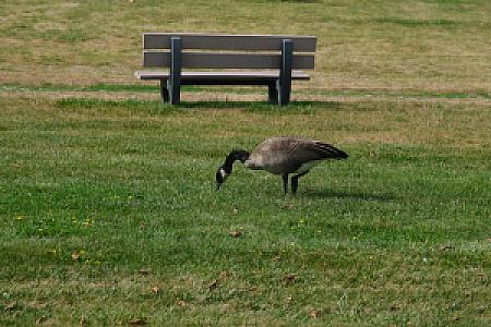 Break for Lunch fotoğrafı