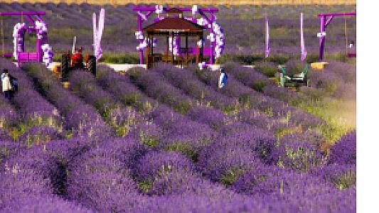 Güneysınır, Konya fotoğrafı
