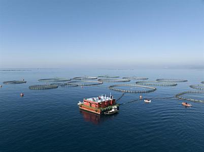 Su Çıkan, Muğla fotoğrafı