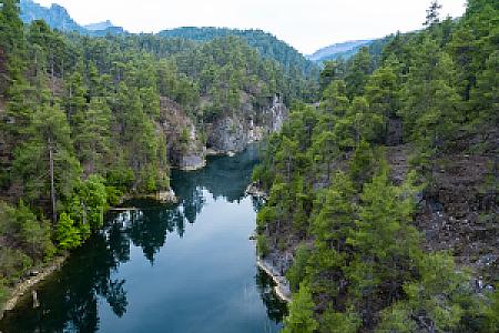 Sığla Ormanı, Muğla fotoğrafı