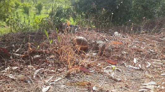 Azman Deresi Piknik Alanı, Muğla fotoğrafı