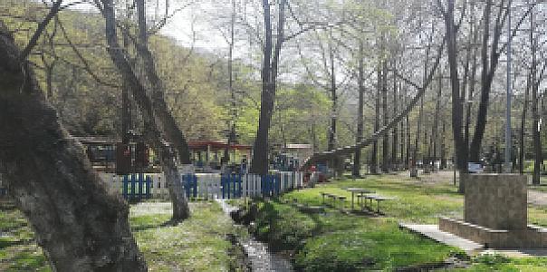 Piknik Alanı, Muğla fotoğrafı