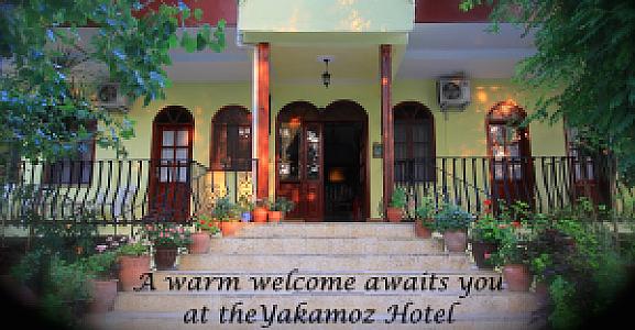 Yakamoz, Muğla fotoğrafı