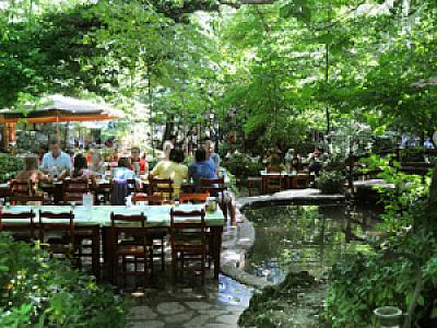 Çınar Restaurant, Muğla fotoğrafı