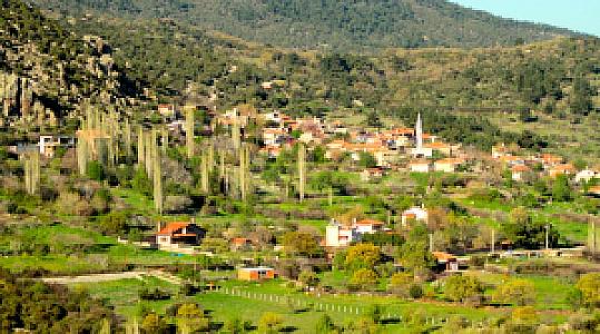 Kozlu Kavhesi, Muğla fotoğrafı