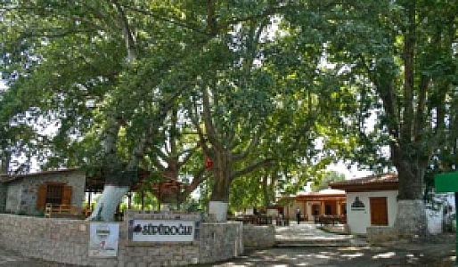 Cihan Beğendi Kahvesi, Muğla fotoğrafı