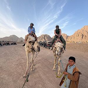 Sherifeh, Muğla fotoğrafı