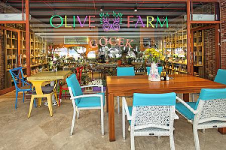 Olive Farm, Muğla fotoğrafı