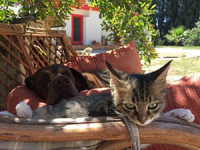 Gökova Dinlenme Tesisi, Muğla fotoğrafı