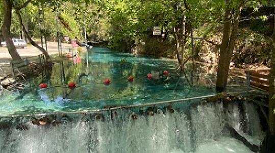 Yuvarlakçay Defne Restaurant, İzmir fotoğrafı