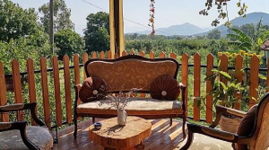 Mavi Yasemin, Muğla fotoğrafı