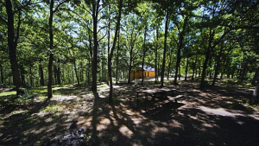 Yayla Piknik, Bursa fotoğrafı