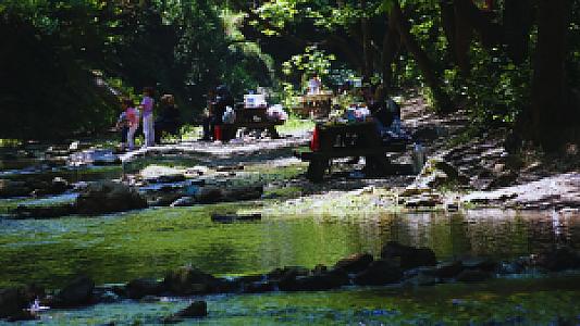Yayla Piknik, Bursa fotoğrafı