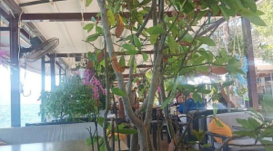 Mona lisa Cafe&Restaurant, İzmir fotoğrafı