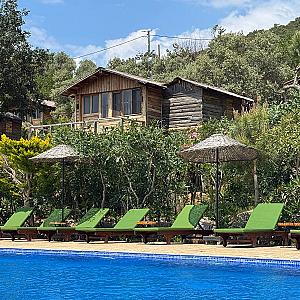 The Olive, Muğla fotoğrafı