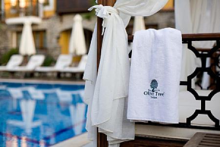 The Olive, Muğla fotoğrafı