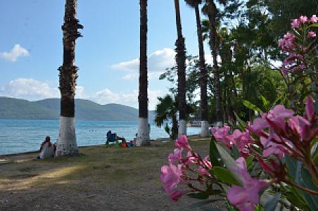 Ula Belediyesi Orman Cafe