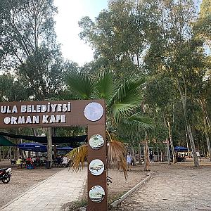 Ula Belediyesi Orman Cafe, Muğla fotoğrafı
