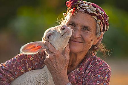 Sevgi Pancake House&Cafe, İzmir fotoğrafı