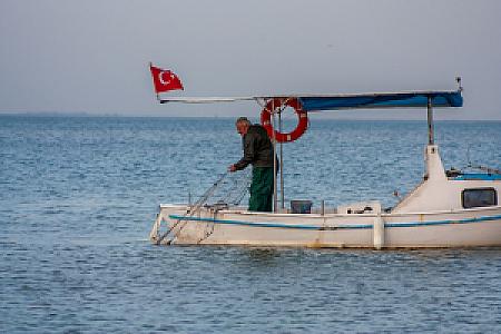 Balık Dünyası, İzmir fotoğrafı
