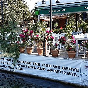 Gel Gör Balıkçısı, İzmir fotoğrafı