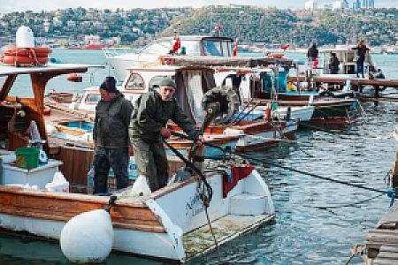 Balık Dünyası, İzmir fotoğrafı