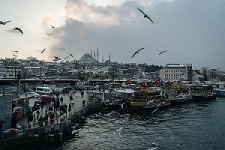 Balık Dünyası, İzmir fotoğrafı