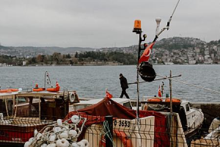 Balık Dünyası, İzmir fotoğrafı