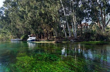 Gökova Börek & Kahvalti, Muğla fotoğrafı