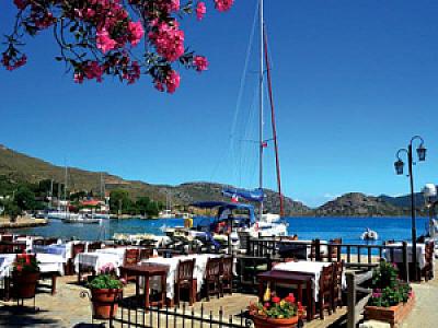 Sardunya, Muğla fotoğrafı